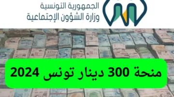 الشؤون الاجتماعية تجيب.. عن حقيقة زيادة قيمة منحة 300 دينار تونس